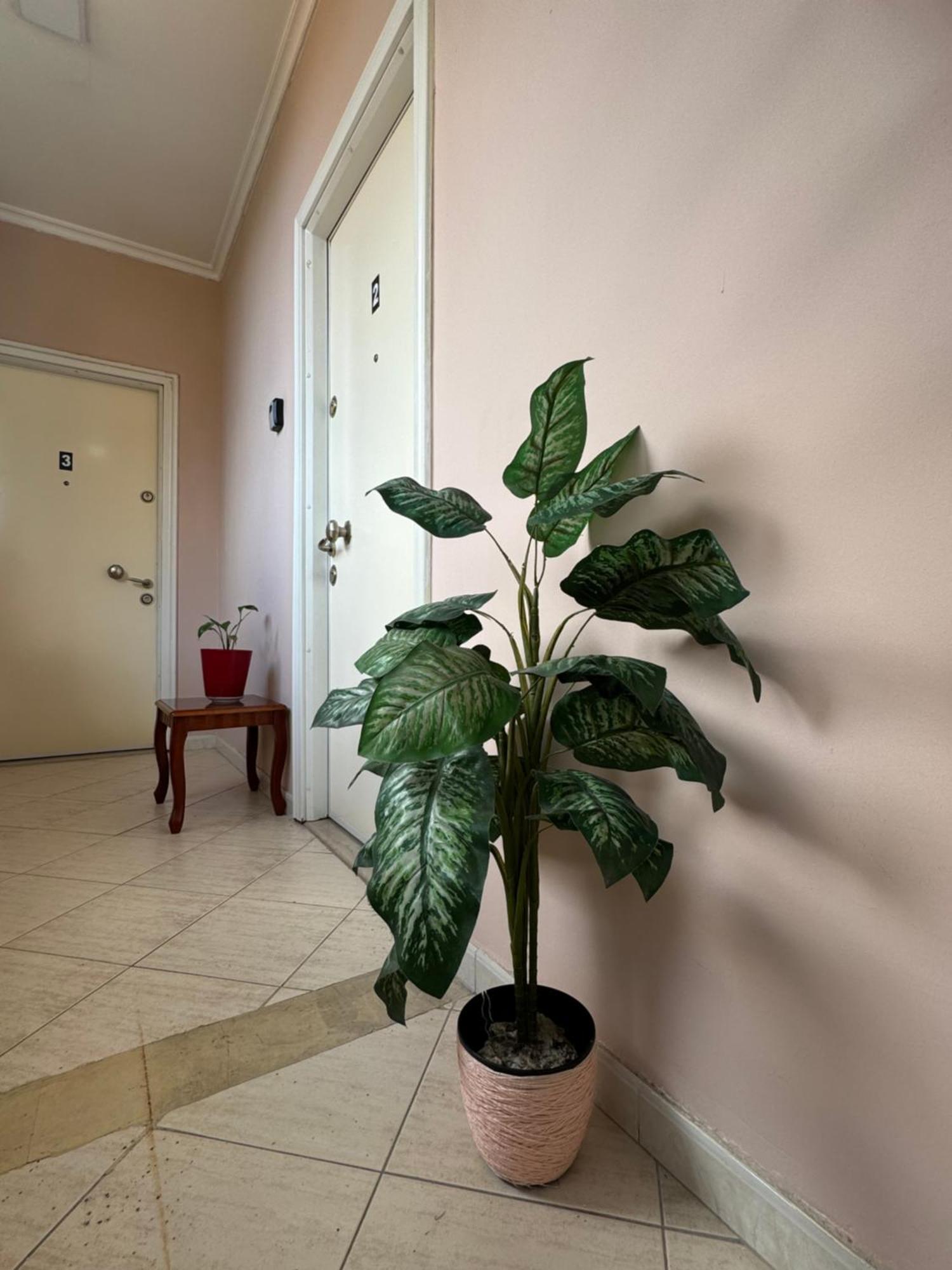 Mirela'S Apartment City Center Tiran Dış mekan fotoğraf